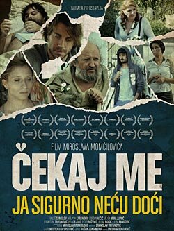 Жди меня, я точно не приду (2009)