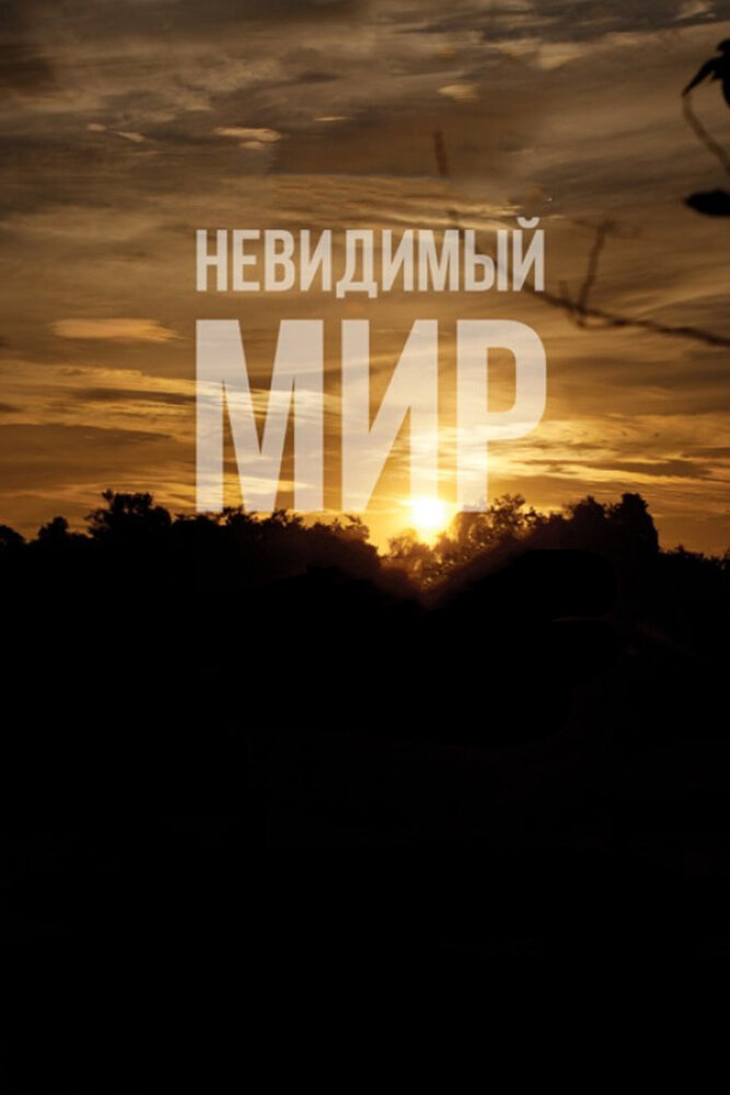 Невидимый мир (2012)