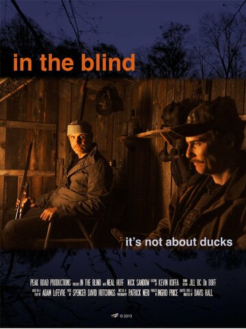 In the Blind (2013)